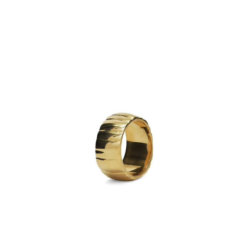 Gamma Minor Ring